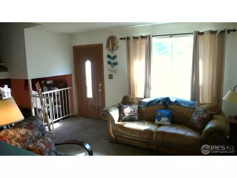 321 S 31st Ave, Brighton, CO 80601 photo 4