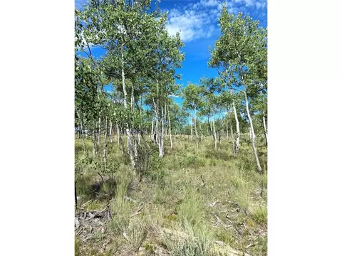 Other - 1210 Kiowa St, Como, CO 80432 photo 5 of 6