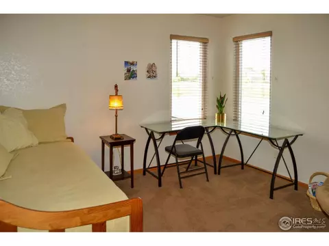 524 14th St, Windsor, CO 80550 photo 19