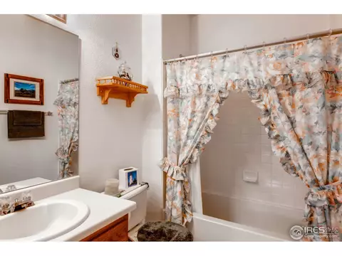 3241 E 102nd Pl, Thornton, CO 80229 photo 21