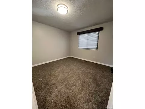 3718 E 113th Ave, Thornton, CO 80233 photo 15