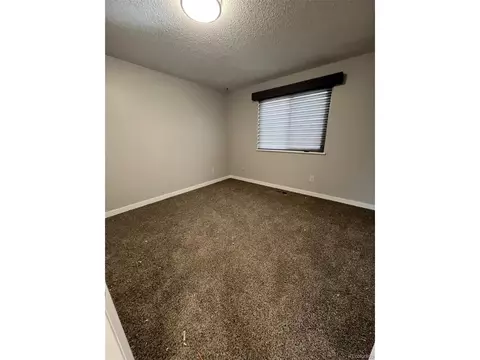 3718 E 113th Ave, Thornton, CO 80233 photo 13