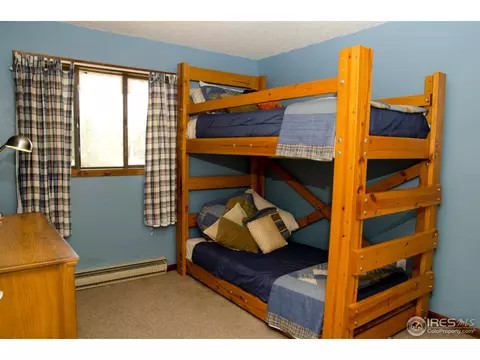 4617 Meining Rd, Berthoud, CO 80513 photo 17