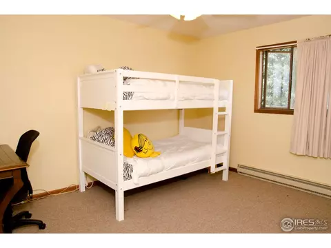 4617 Meining Rd, Berthoud, CO 80513 photo 13