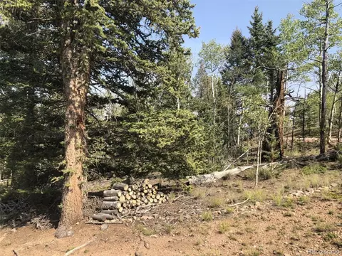 157 Old Squaw Rd, Como, CO 80432 photo 14