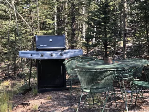 157 Old Squaw Rd, Como, CO 80432 photo 9