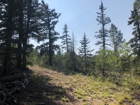 157 Old Squaw Rd, Como, CO 80432 photo 13