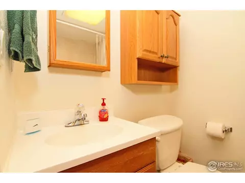 5850 E 118th Pl, Thornton, CO 80233 photo 17