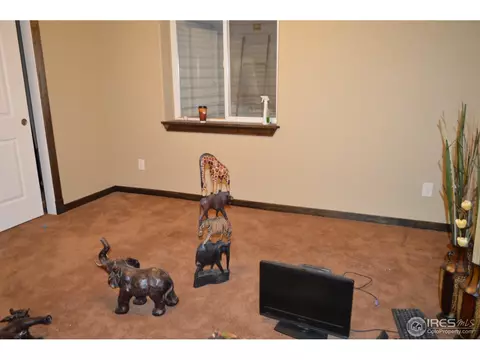 5098 Rustic Ave, Firestone, CO 80504 photo 20