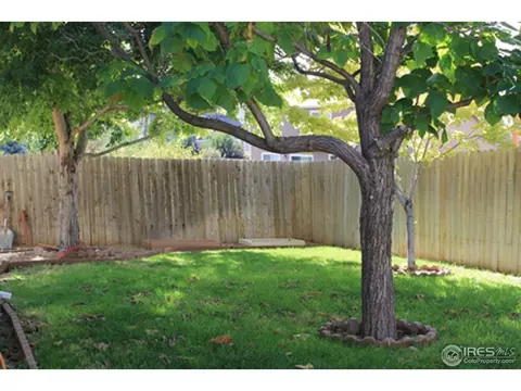 3004 44th Ave, Greeley, CO 80634 photo 14