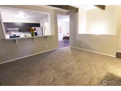1109 Walnut St, Windsor, CO 80550 photo 6