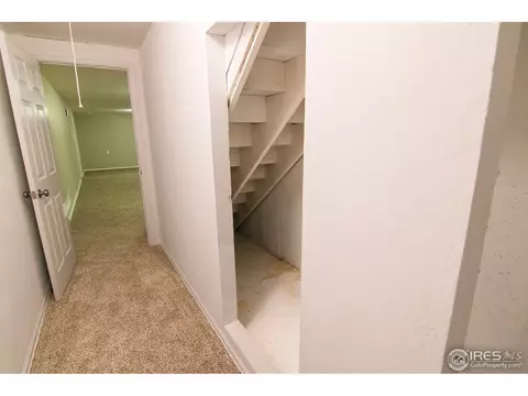 1109 Walnut St, Windsor, CO 80550 photo 20