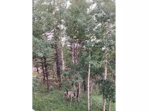 12891 Callae Dr, Conifer, CO 80433 photo 8