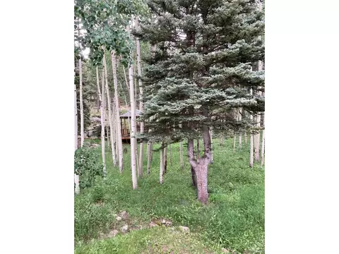 12891 Callae Dr, Conifer, CO 80433 photo 9