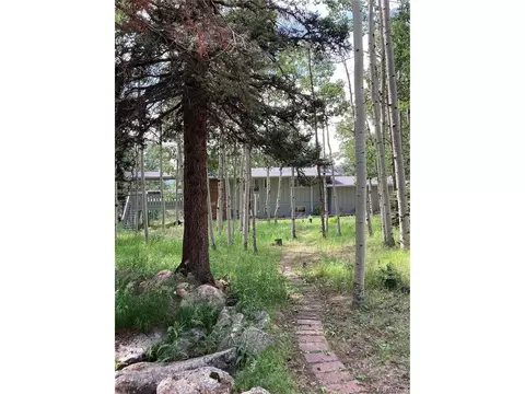 12891 Callae Dr, Conifer, CO 80433 photo 1