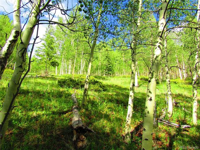 6427 Laffin Rd, San Luis, CO 81132