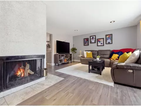329 Raspberry Ln, Monument, CO 80132 photo 13