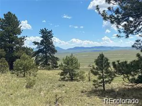 252 Angus Cir, Hartsel, CO 80449