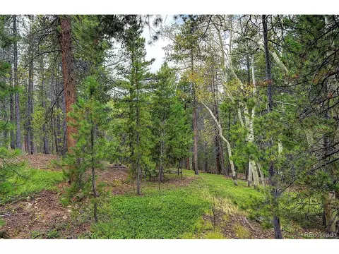 8431 London Ln, Conifer, CO 80433