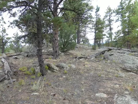 1170 Impala Trl, Bailey, CO 80421 photo 22