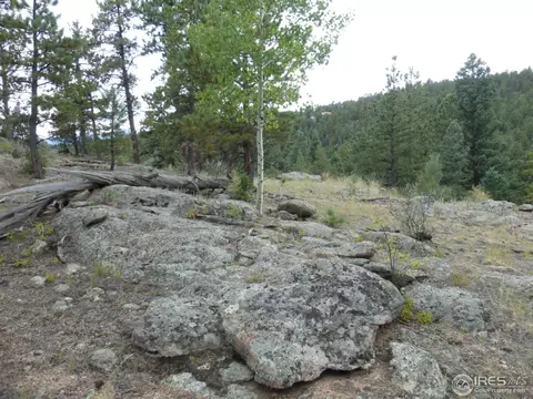 1170 Impala Trl, Bailey, CO 80421 photo 23