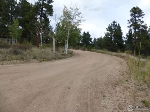 1170 Impala Trl, Bailey, CO 80421 photo 2