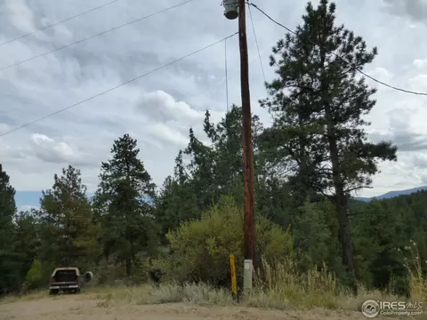 1170 Impala Trl, Bailey, CO 80421 photo 4