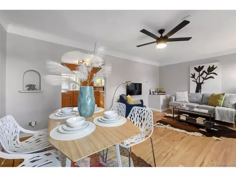 3035 Ash St, Denver, CO 80207 photo 8