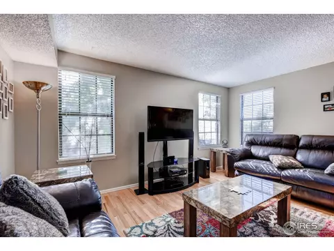 10765 Cherry St, Thornton, CO 80233 photo 4