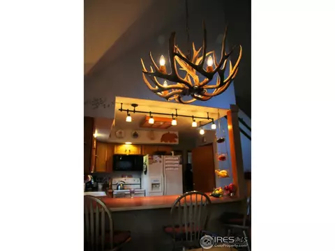 164 Button Rock Rd, Lyons, CO 80540 photo 11