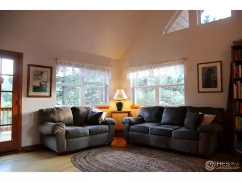 164 Button Rock Rd, Lyons, CO 80540 photo 14