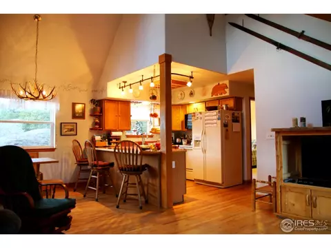 164 Button Rock Rd, Lyons, CO 80540 photo 15