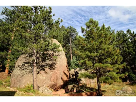 164 Button Rock Rd, Lyons, CO 80540 photo 22