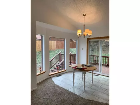 619 N Pine Dr, Bailey, CO 80421 photo 12
