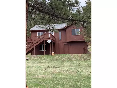 619 N Pine Dr, Bailey, CO 80421