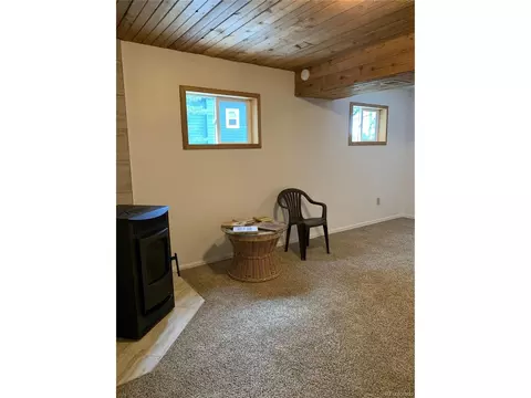 619 N Pine Dr, Bailey, CO 80421 photo 29