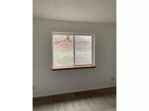 619 N Pine Dr, Bailey, CO 80421 photo 22