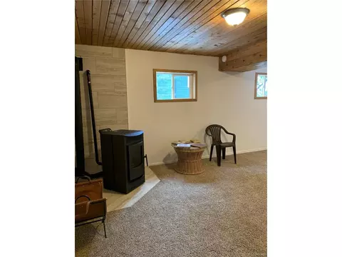 619 N Pine Dr, Bailey, CO 80421 photo 30