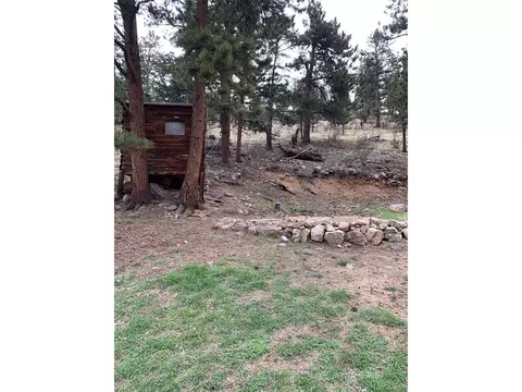 619 N Pine Dr, Bailey, CO 80421 photo 38
