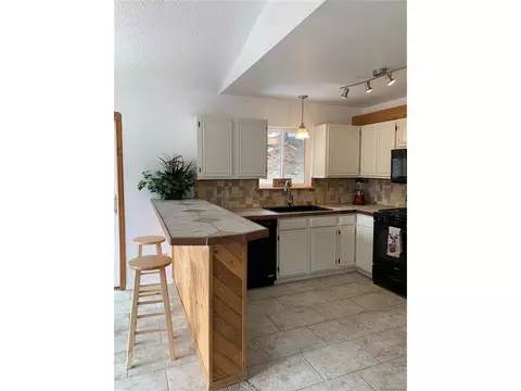 619 N Pine Dr, Bailey, CO 80421 photo 8