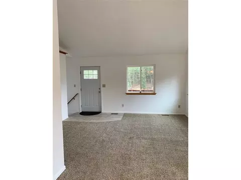 619 N Pine Dr, Bailey, CO 80421 photo 21