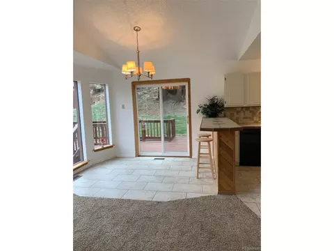 619 N Pine Dr, Bailey, CO 80421 photo 17