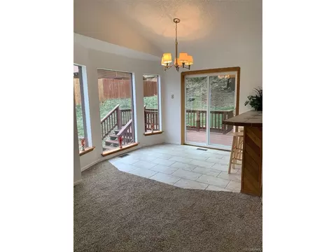 619 N Pine Dr, Bailey, CO 80421 photo 13