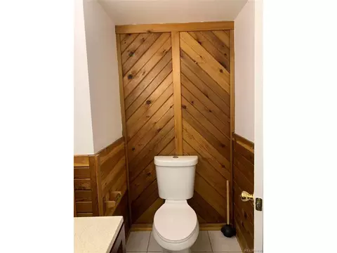 619 N Pine Dr, Bailey, CO 80421 photo 31