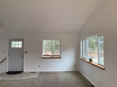 619 N Pine Dr, Bailey, CO 80421 photo 20