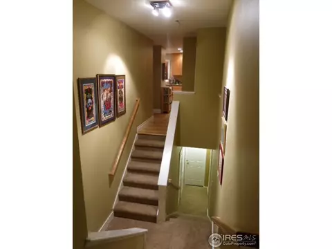 4815 Sugarloaf Rd, Boulder, CO 80302 photo 17