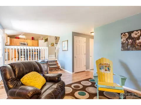 5466 Fox Run Blvd, Frederick, CO 80504 photo 9