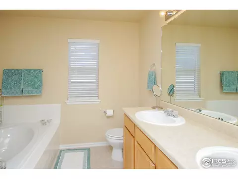 7532 E 130th Cir, Thornton, CO 80602 photo 19