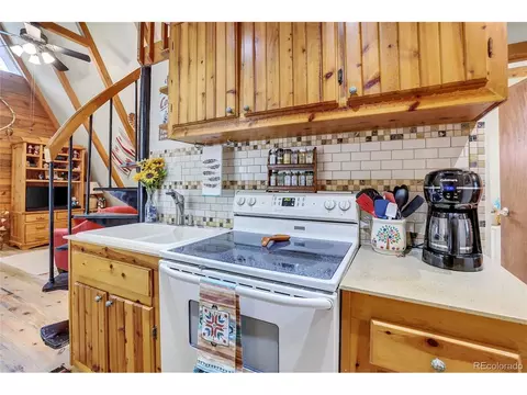 1492 Burland Dr, Bailey, CO 80421 photo 16