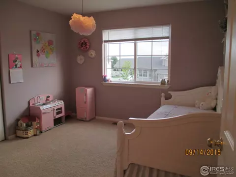 9822 Buffalo St, Firestone, CO 80504 photo 10